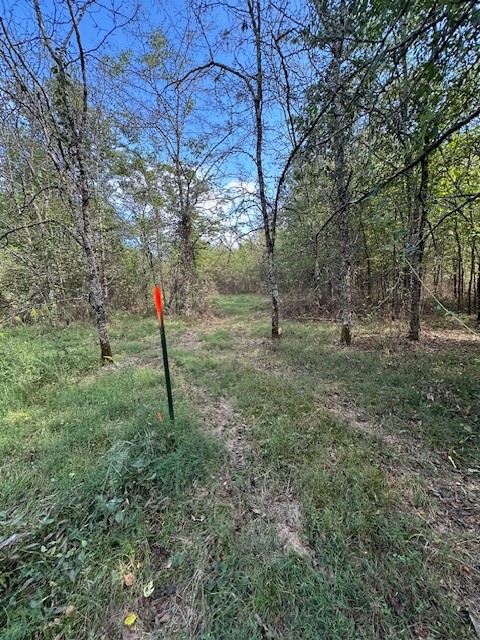8919 Carlton Road Christiana, TN 37037 - Photo 7 of 12 a view of outdoor space with trees all around