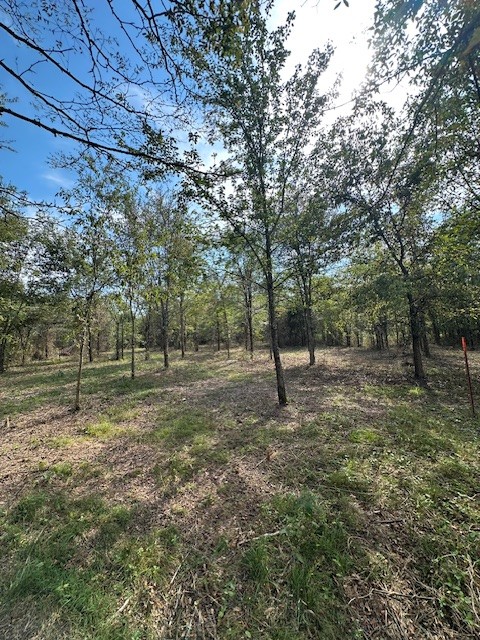8919 Carlton Road Christiana, TN 37037 - Photo 8 of 12 a view of a yard with a tree