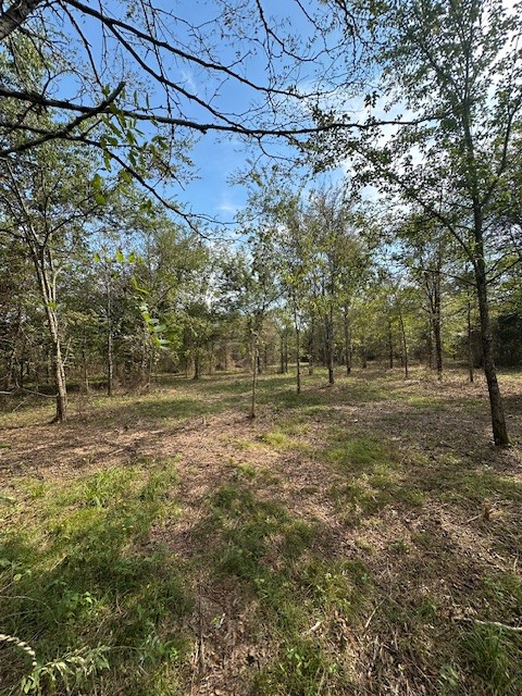 8919 Carlton Road Christiana, TN 37037 - Photo 10 of 12 a view of a field with trees