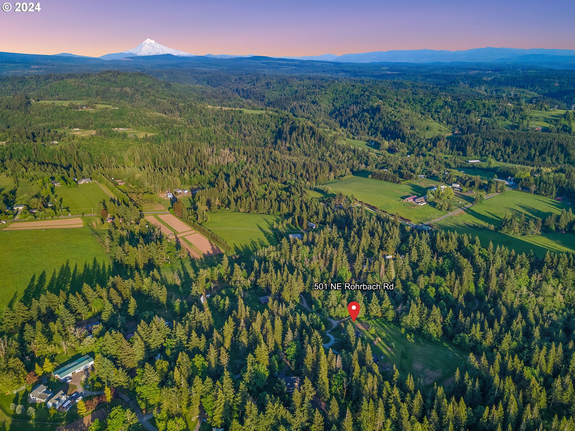 501 Northeast Rohrbach Road Corbett, OR 97019 - Photo 29 of 31 a view of a city with lush green forest