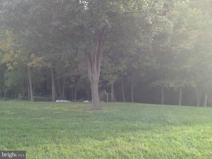 8521 Gue Road Damascus, MD 20872 - Photo 19 of 22 View