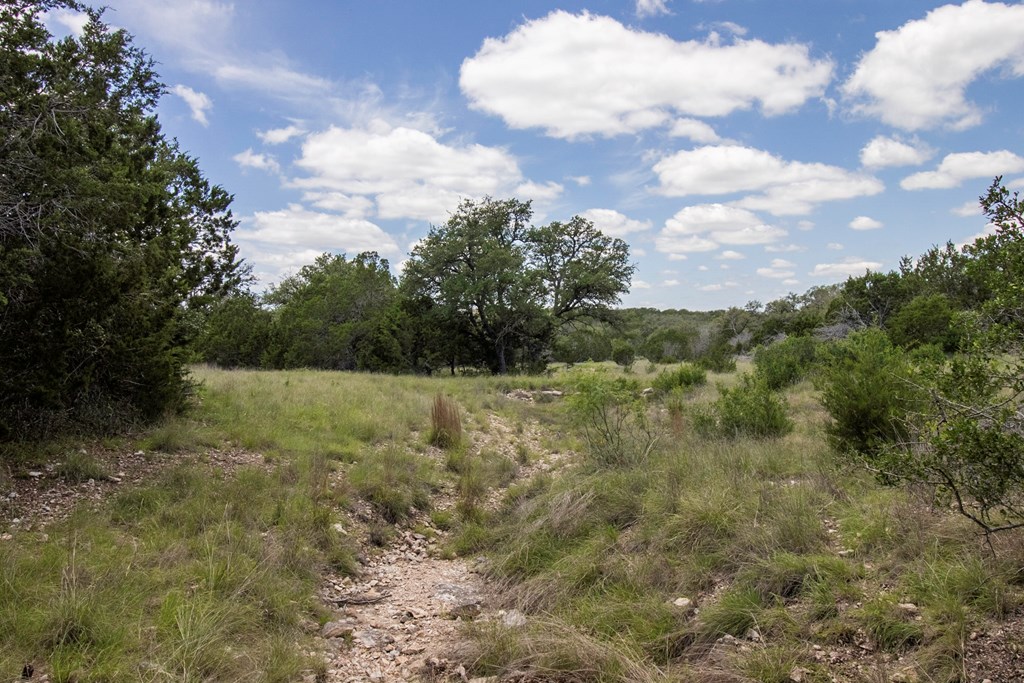 0 L And M Ranch Junction Junction, TX 76849 - Photo 8 of 27