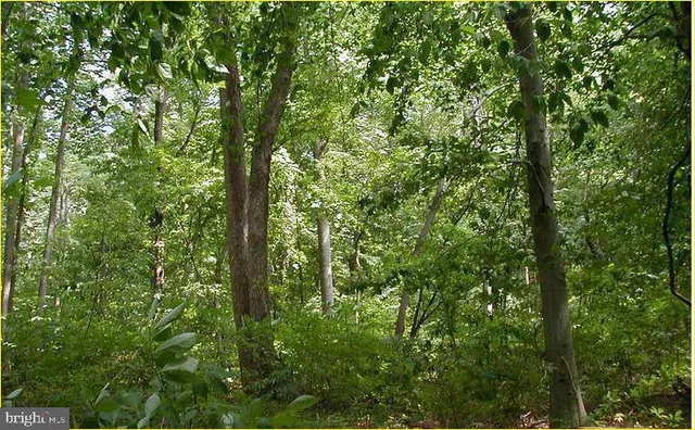 $414,900 | 12605 Cedarville Road, Brandywine, MD 20613