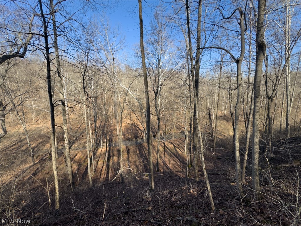 0 Clem Garvin Road Caldwell, OH 43724 - Photo 47 of 50 View of local wilderness