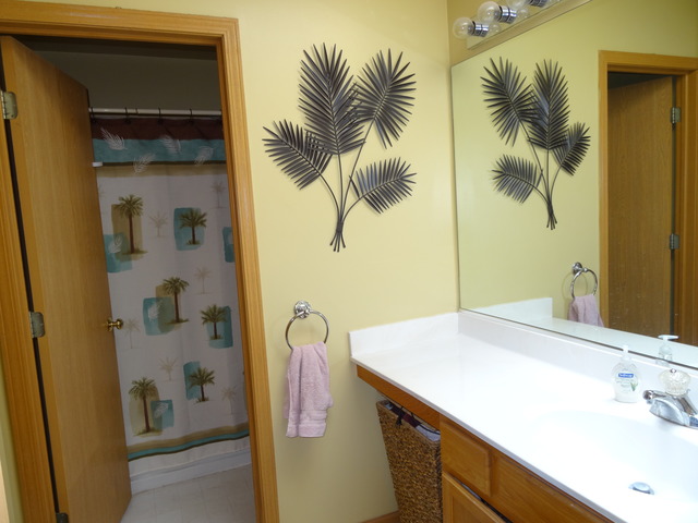 2318 Reflections Drive Aurora, IL 60502 - Photo 11 of 13 a bathroom with a sink and a mirror