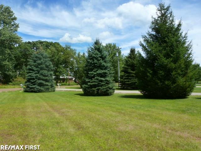 8852 Marr Road Almont, MI 48003 - Photo 7 of 29 31327479-6.JPG