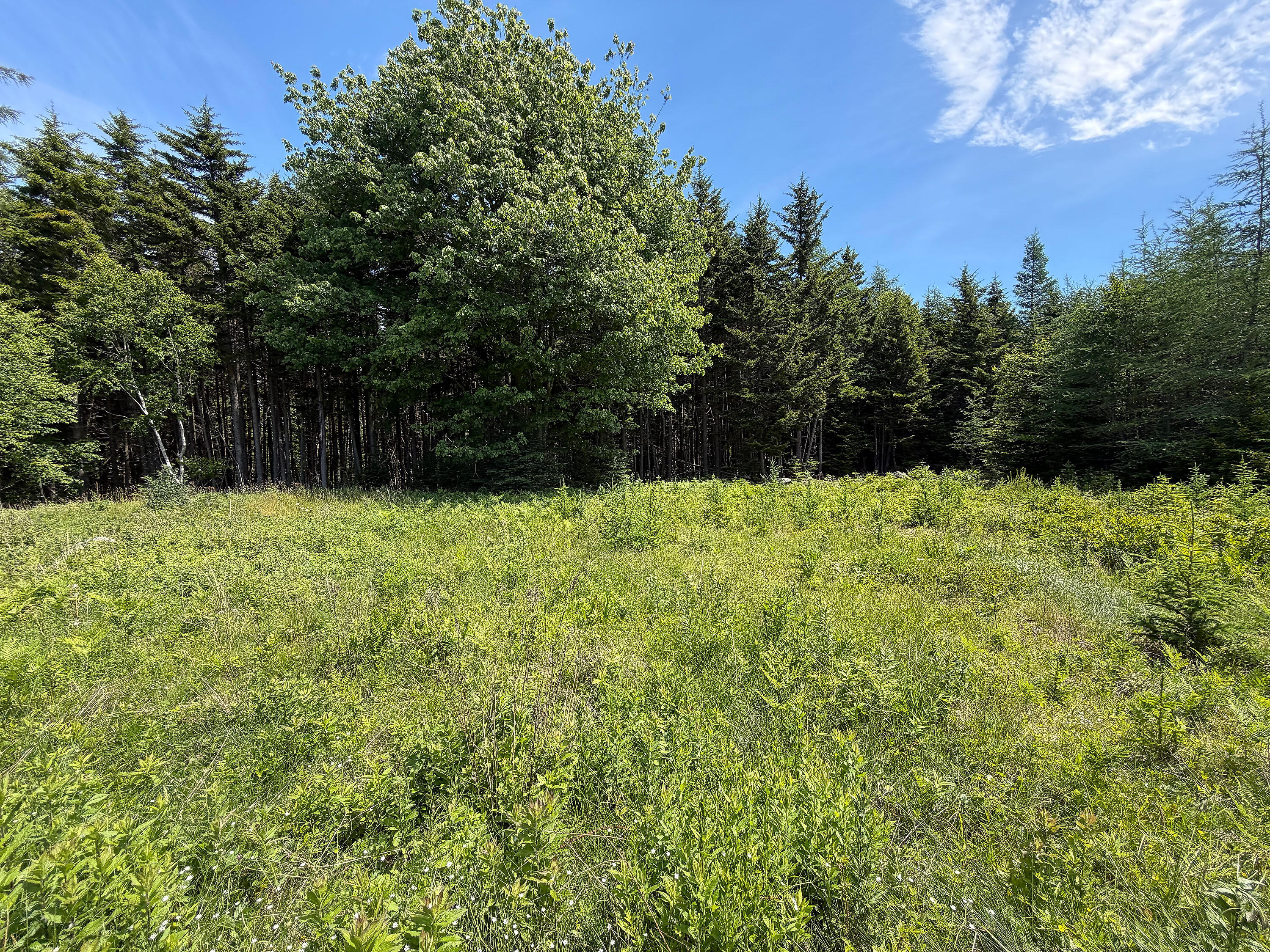 12 Lindsay's Road Deer Isle, ME 04627 - Photo 18 of 21