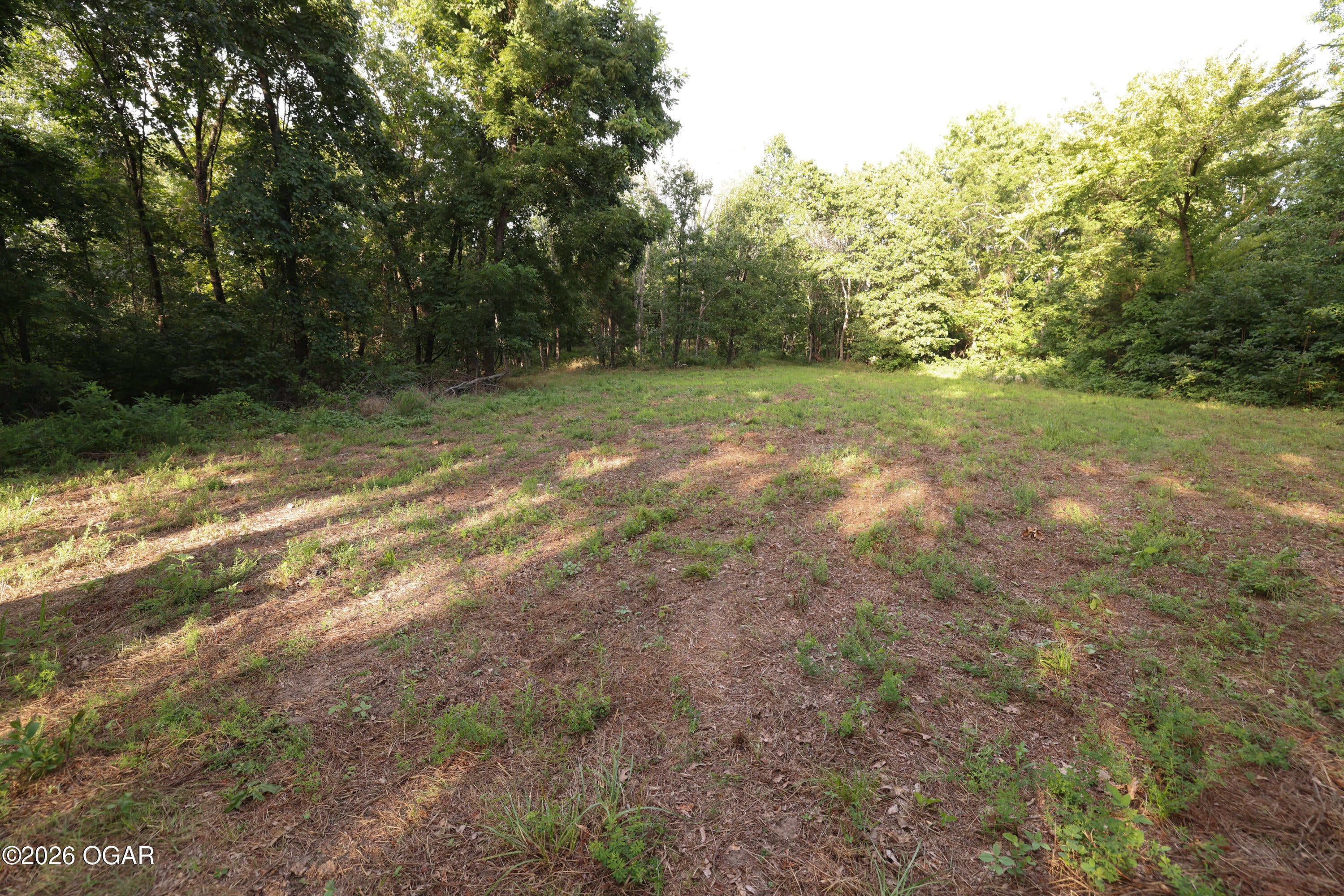 861 Tilden Road Galena, MO 65656 - Photo 15 of 67 Gallery Image 15