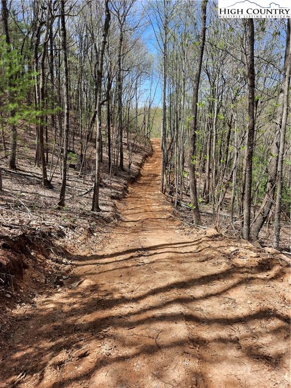Lot 25 Lost Ridge Road Lenoir, NC 28645 - Photo 4 of 11 Gallery Image 4