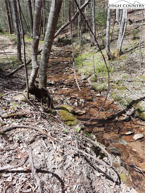 Lot 25 Lost Ridge Road Lenoir, NC 28645 - Photo 8 of 11 Gallery Image 8