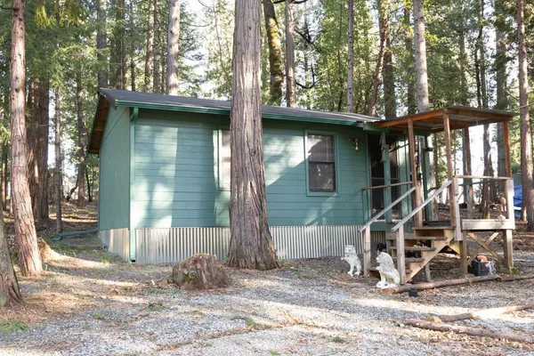 a view of a park with trees