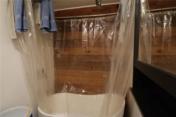 a view of a yard with plants and trees