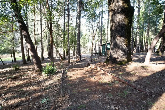 a view of a yard with large trees