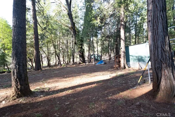 a view of a yard with large trees