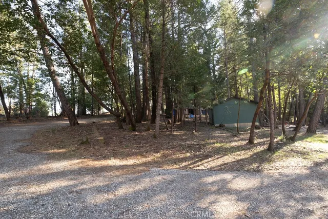 a view of a yard with a tree