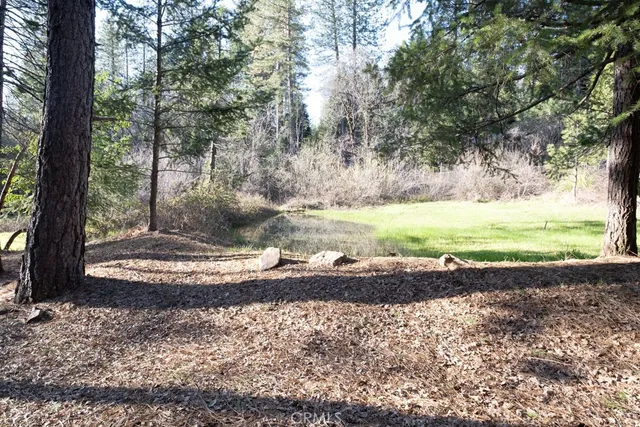 a view of outdoor space with trees