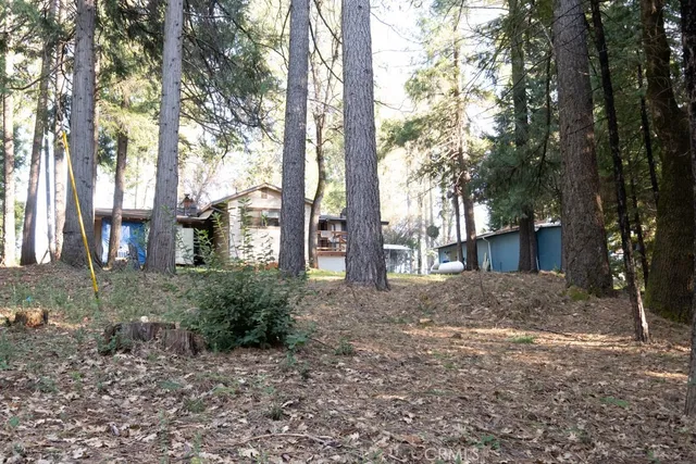 a view of a yard with trees