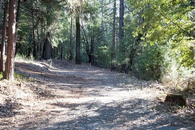 a view of dirt yard with trees