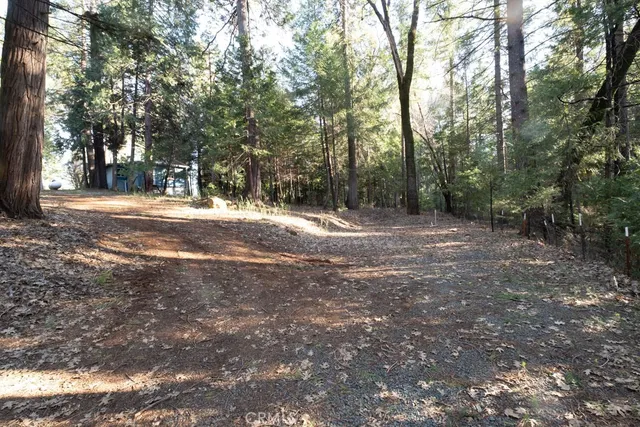 a view of a house with a tree