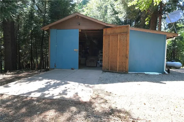 a view of a forest filled with trees