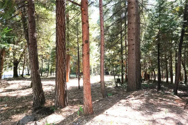 a backyard of a house with potted plants and couches