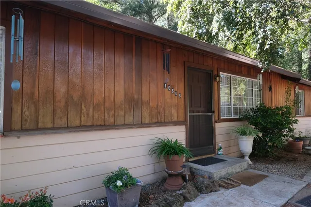 a view of a tree in a yard