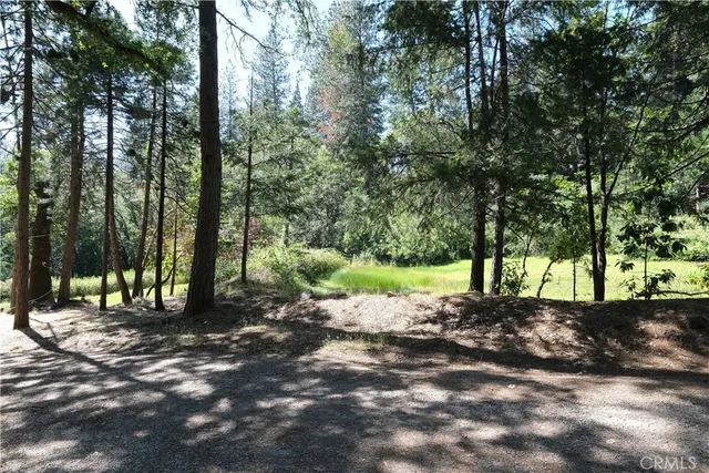a view of road and trees