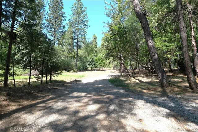 a view of a yard with a tree