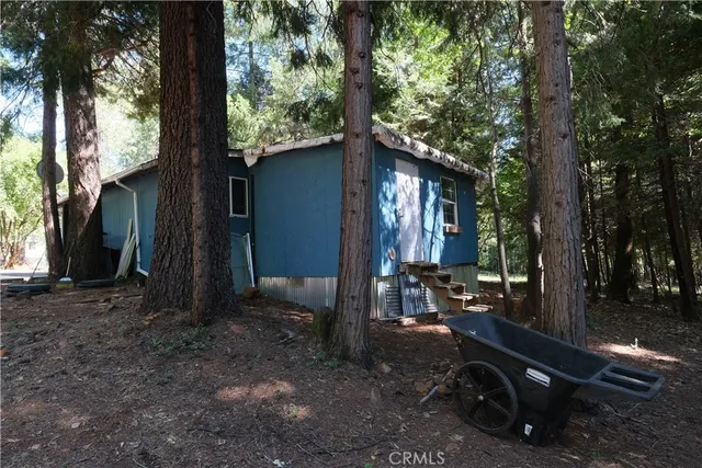 a view of a potted flower in a yard
