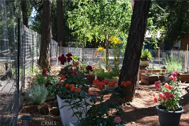 $389,000 | 16648 New York House Road, Brownsville, CA 95919