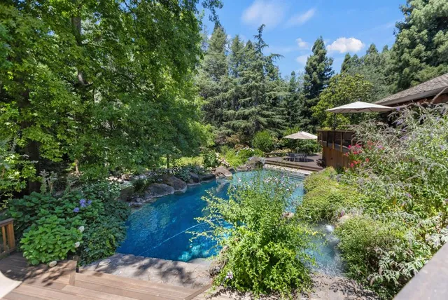 a view of backyard with plants and outdoor seating