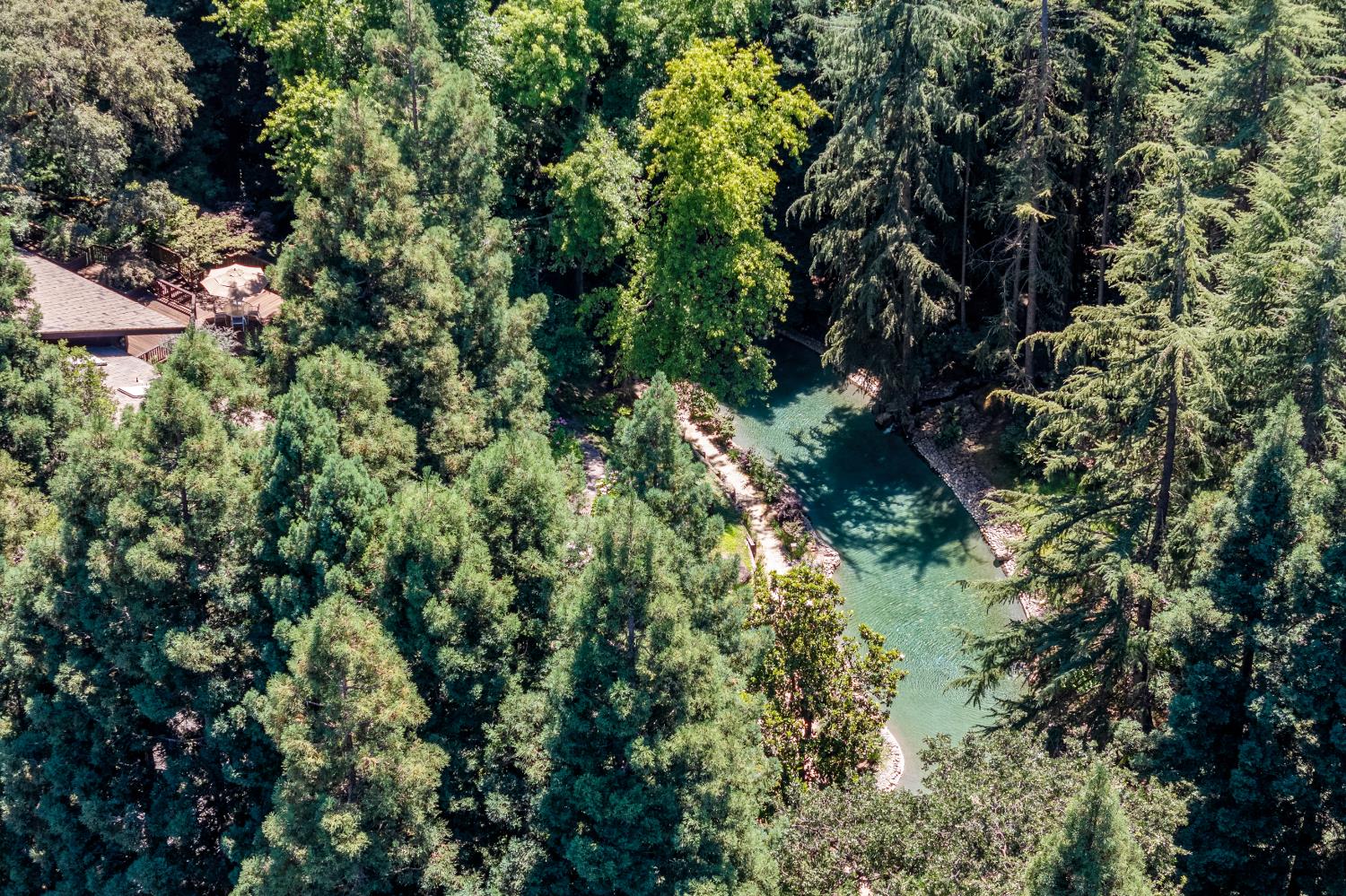5312 Retreat Way Carmichael, CA 95608 - Photo 92 of 92 a view of a tree
