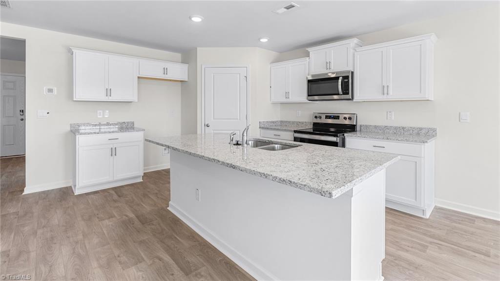 207 Birch Tree Way Mayodan, NC 27027 - Photo 9 of 28 *Photos are of model home and are for representational purposes only.