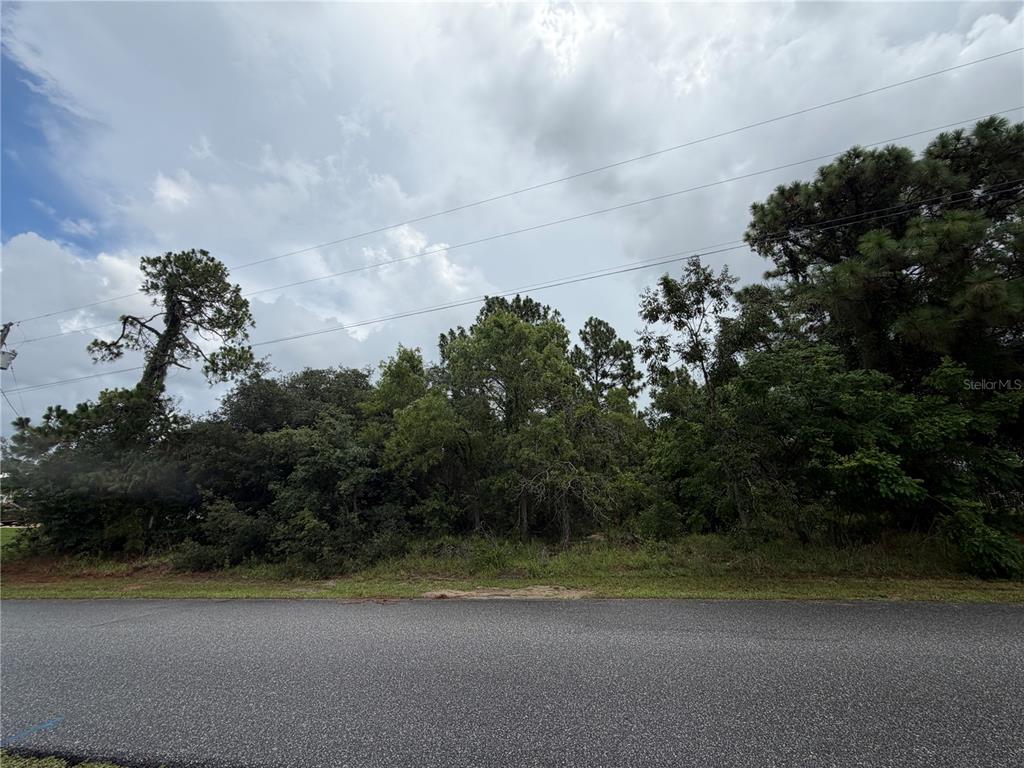 Corydon Ave Spring Hill Spring Hill, FL 34609 - Photo 7 of 9