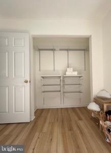 43557 Patching Pond Square Ashburn, VA 20147 - Photo 7 of 15 Closet with organizers