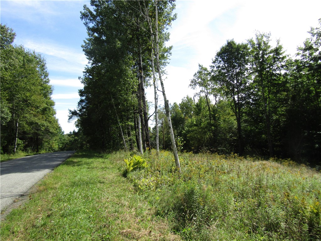 Titus Lake Road Jefferson, NY 12093 - Photo 14 of 16 Gallery Image 14