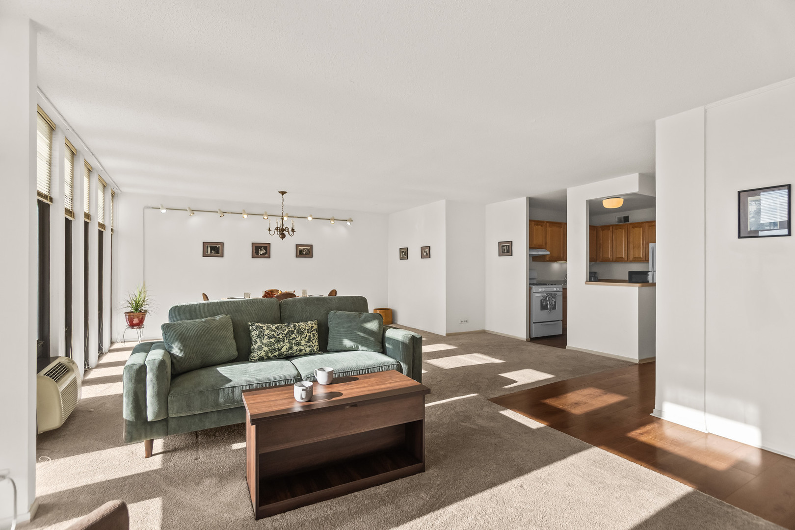 6700 South South Shore Drive, Unit 9D9E Chicago, IL 60649 - Photo 4 of 20 a living room with furniture and a rug