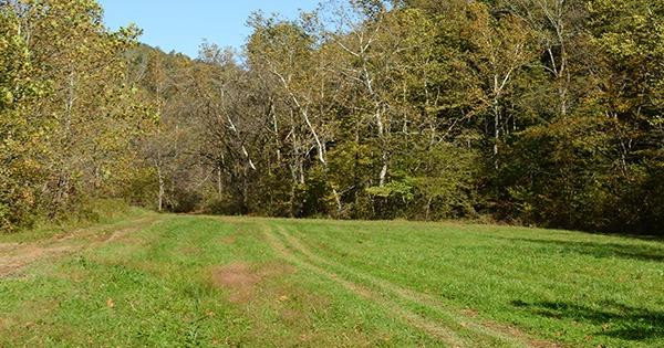 1 Anderson Branch Road Stanton, KY 40380 - Photo 15 of 27 Photo 15