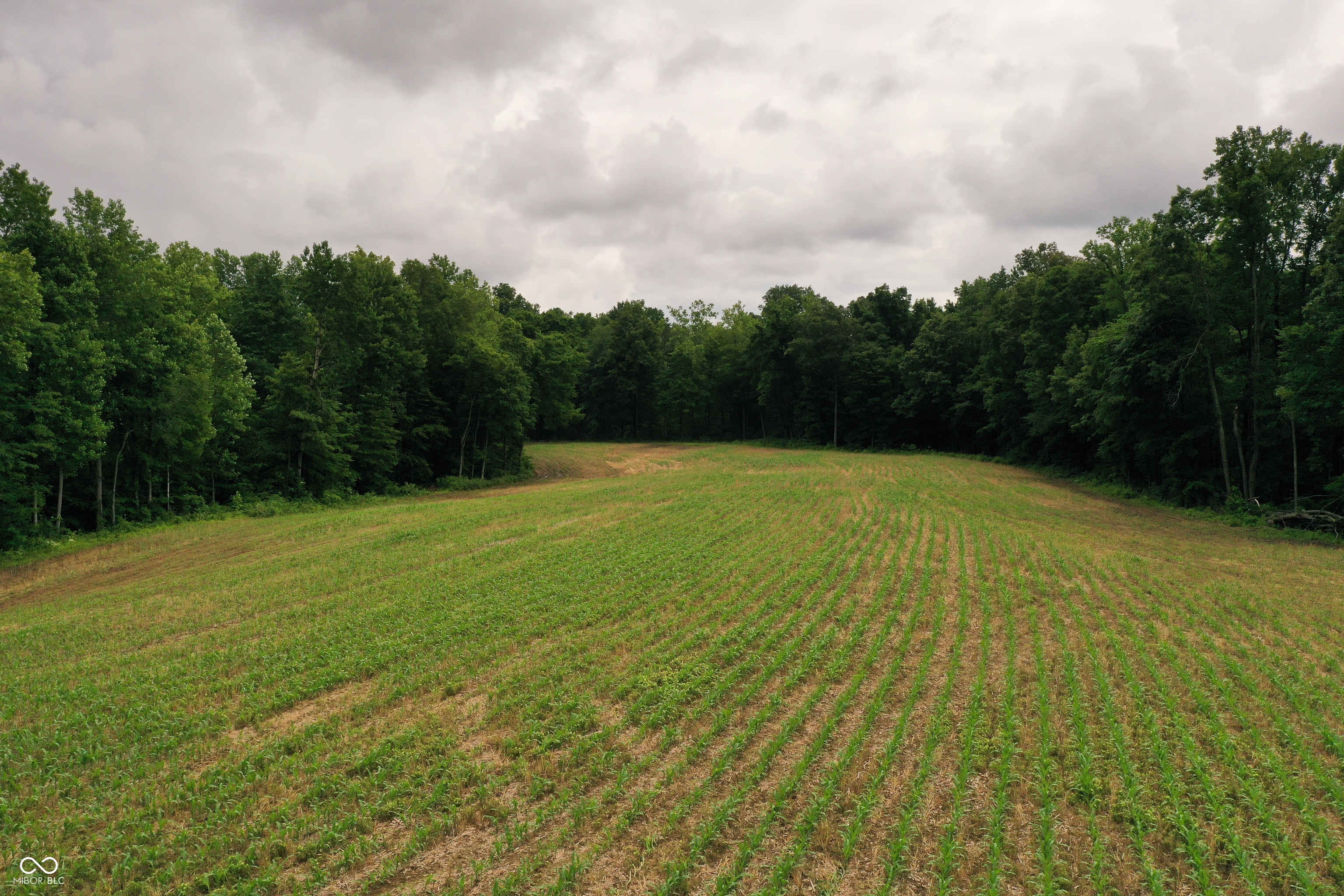 -tract #7 Smith Road Nashville, IN 47448 - Photo 6 of 6