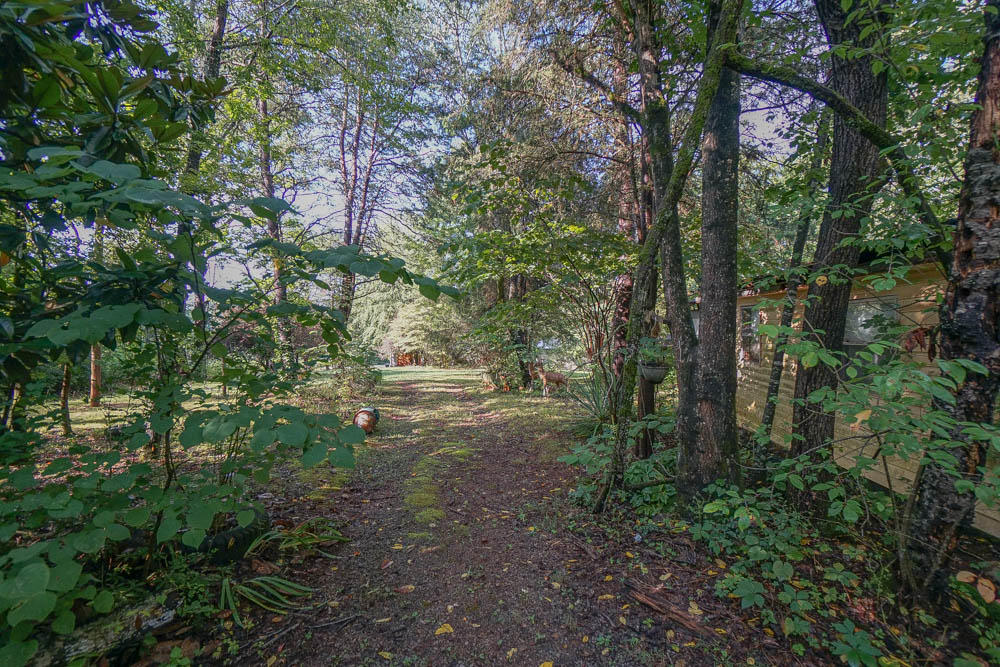 Love Road Friendsville, TN 37737 - Photo 6 of 21 DSC08789