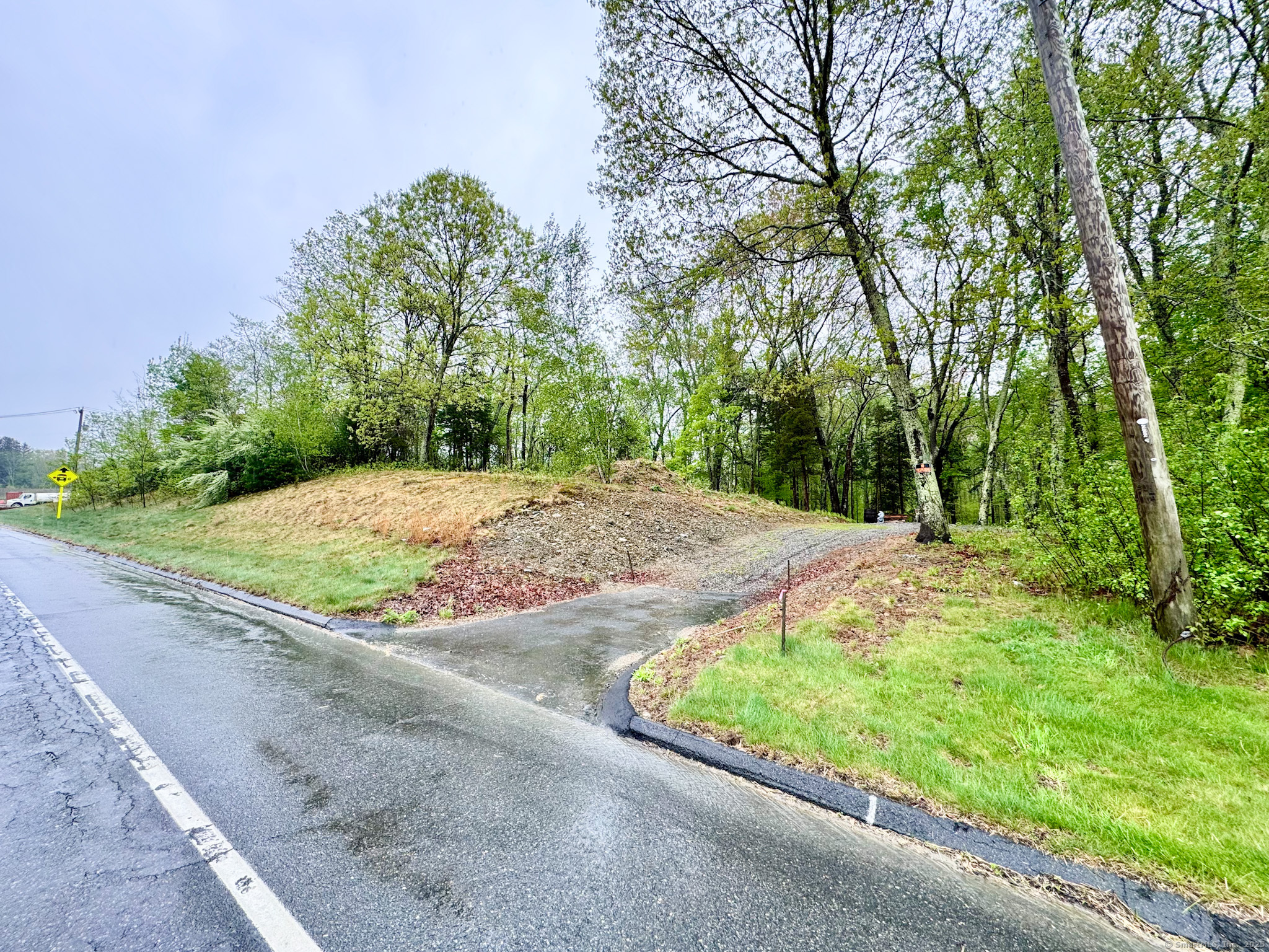a view of a backyard with large trees