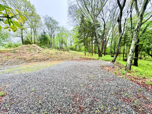 a view of a yard with plants and trees