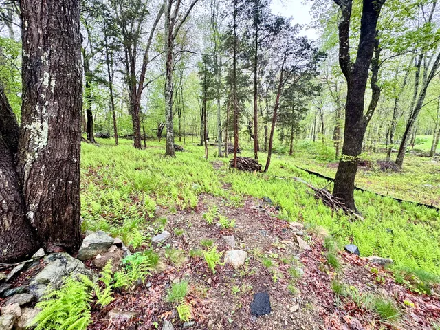 a view of backyard with green space