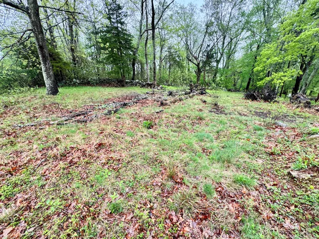 a view of a yard with plants and trees