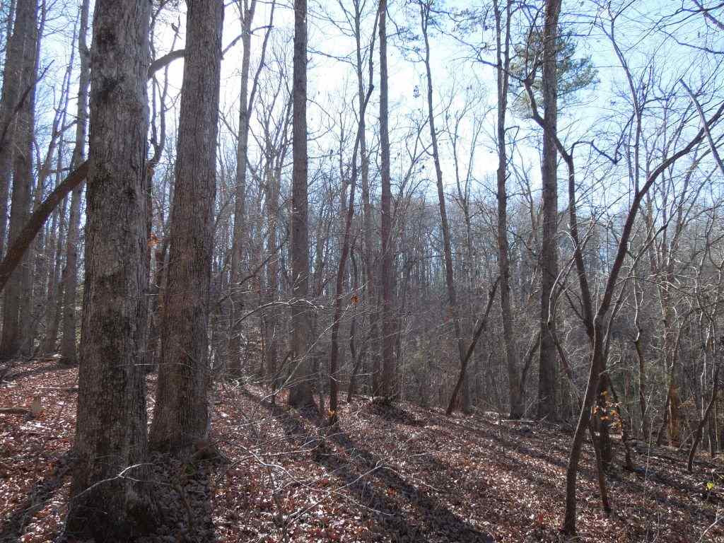 Eddie Perry Road Pittsboro, NC 27312 - Photo 7 of 12 Photo 7