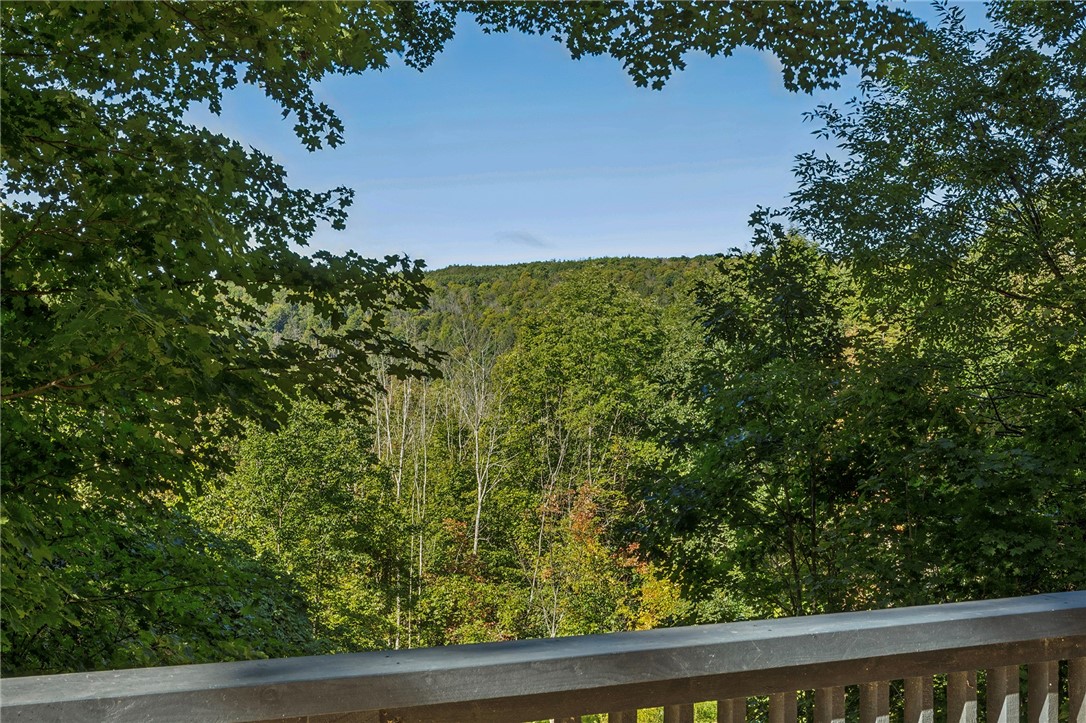 135 High Pine Meadows Road Middleburgh, NY 12122 - Photo 4 of 26 Gallery Image 4