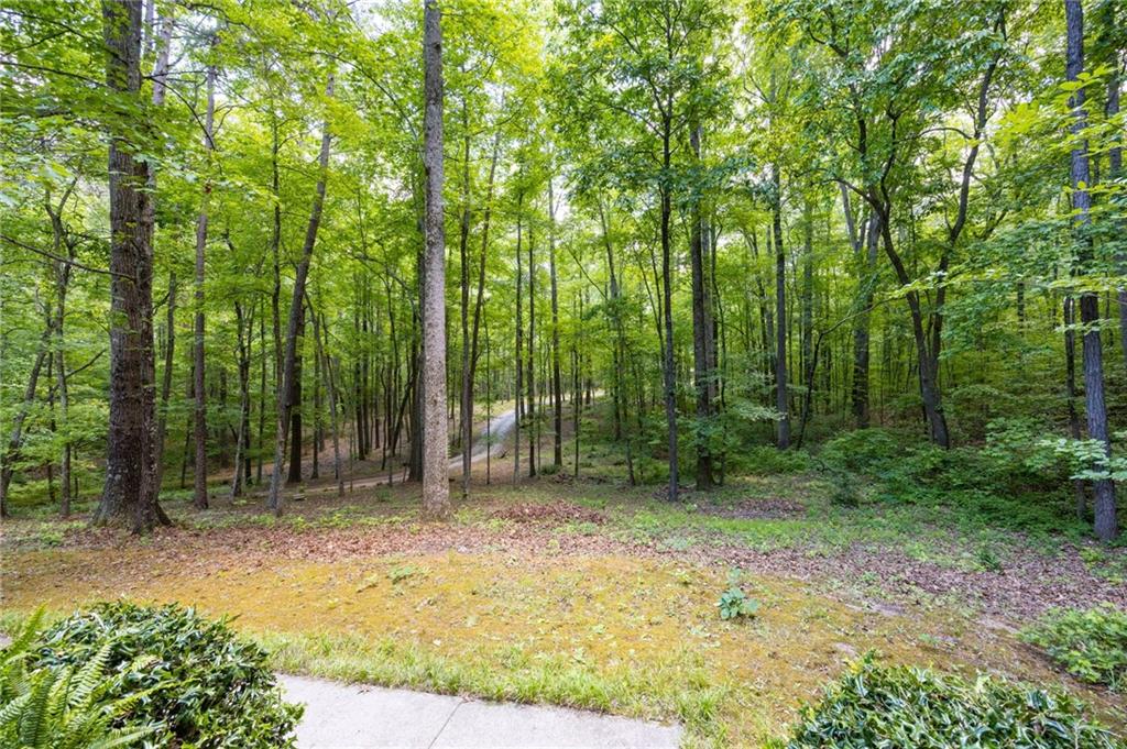 301 Benson Road Dallas, GA 30132 - Photo 38 of 56