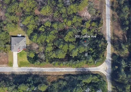 a view of a yard with plants