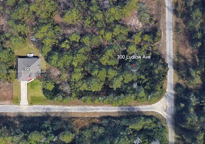 a view of a yard with plants