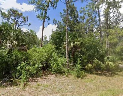 a flag is sitting in the middle of a forest